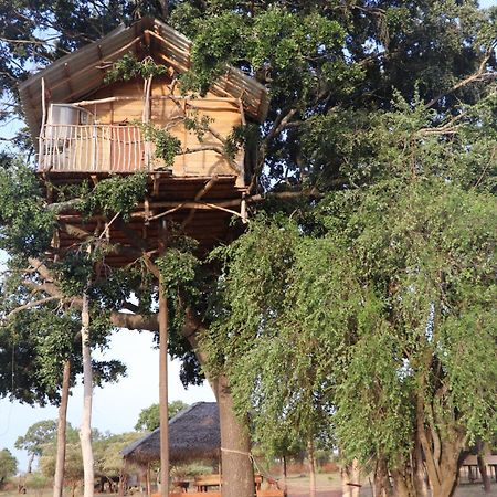 Yala Dream Park Exterior foto