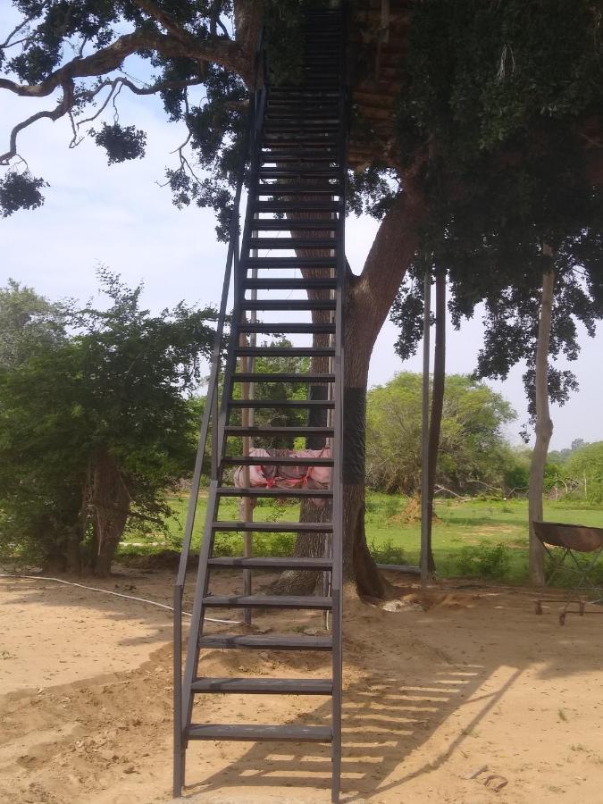 Yala Dream Park Exterior foto