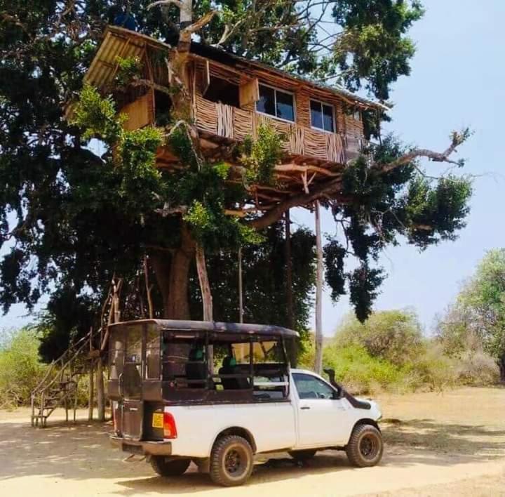 Yala Dream Park Exterior foto