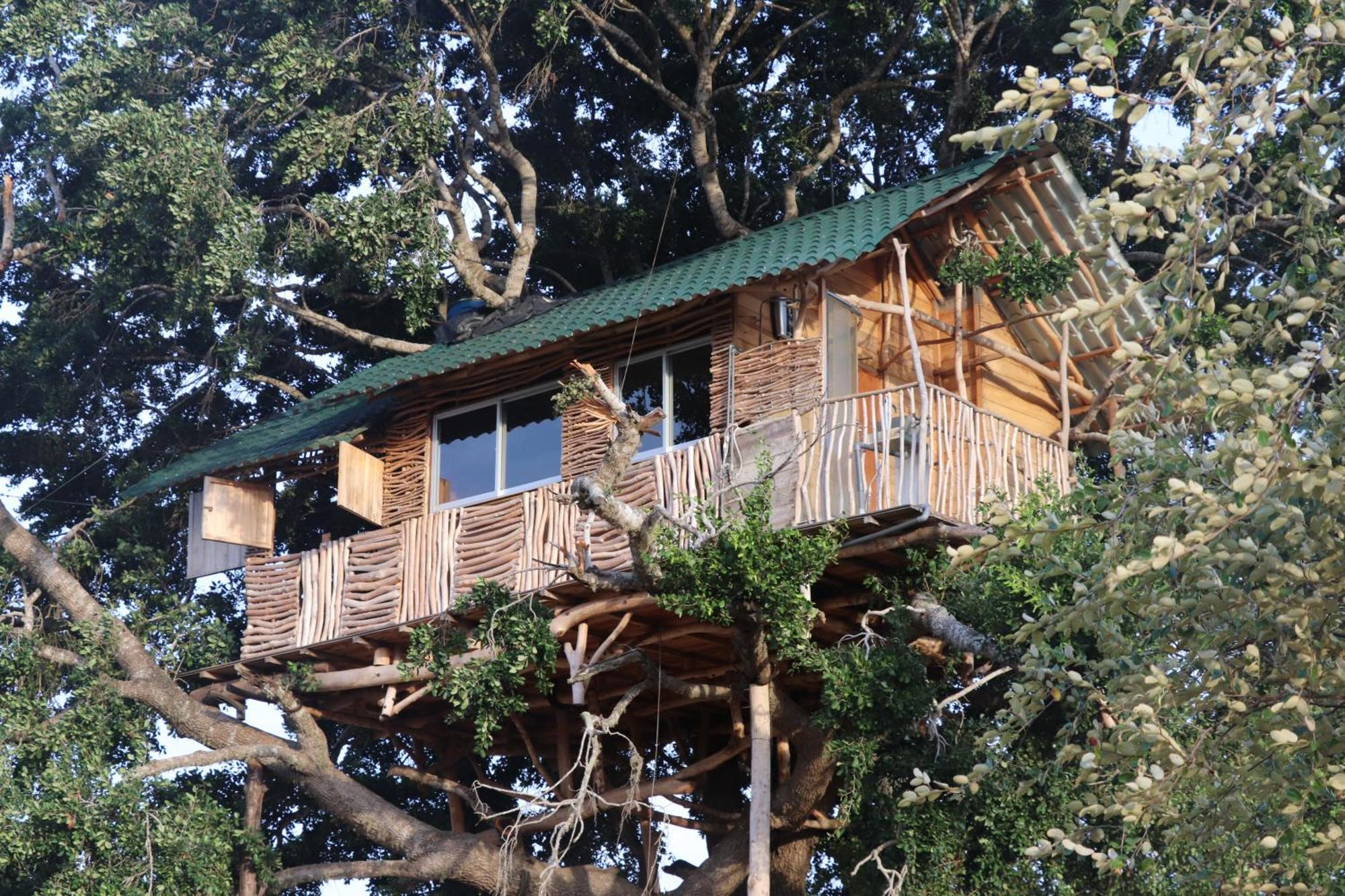 Yala Dream Park Exterior foto