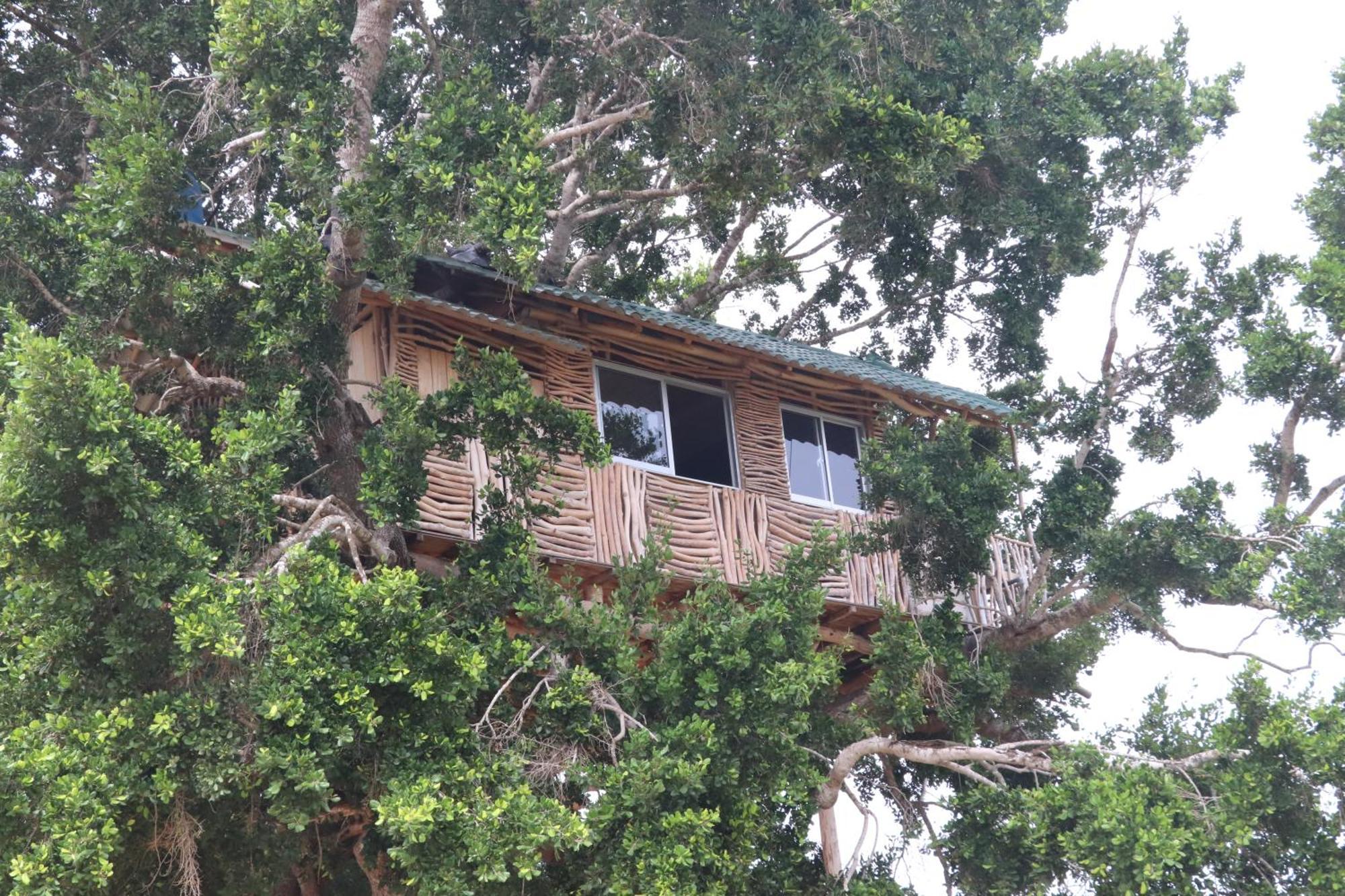 Yala Dream Park Exterior foto