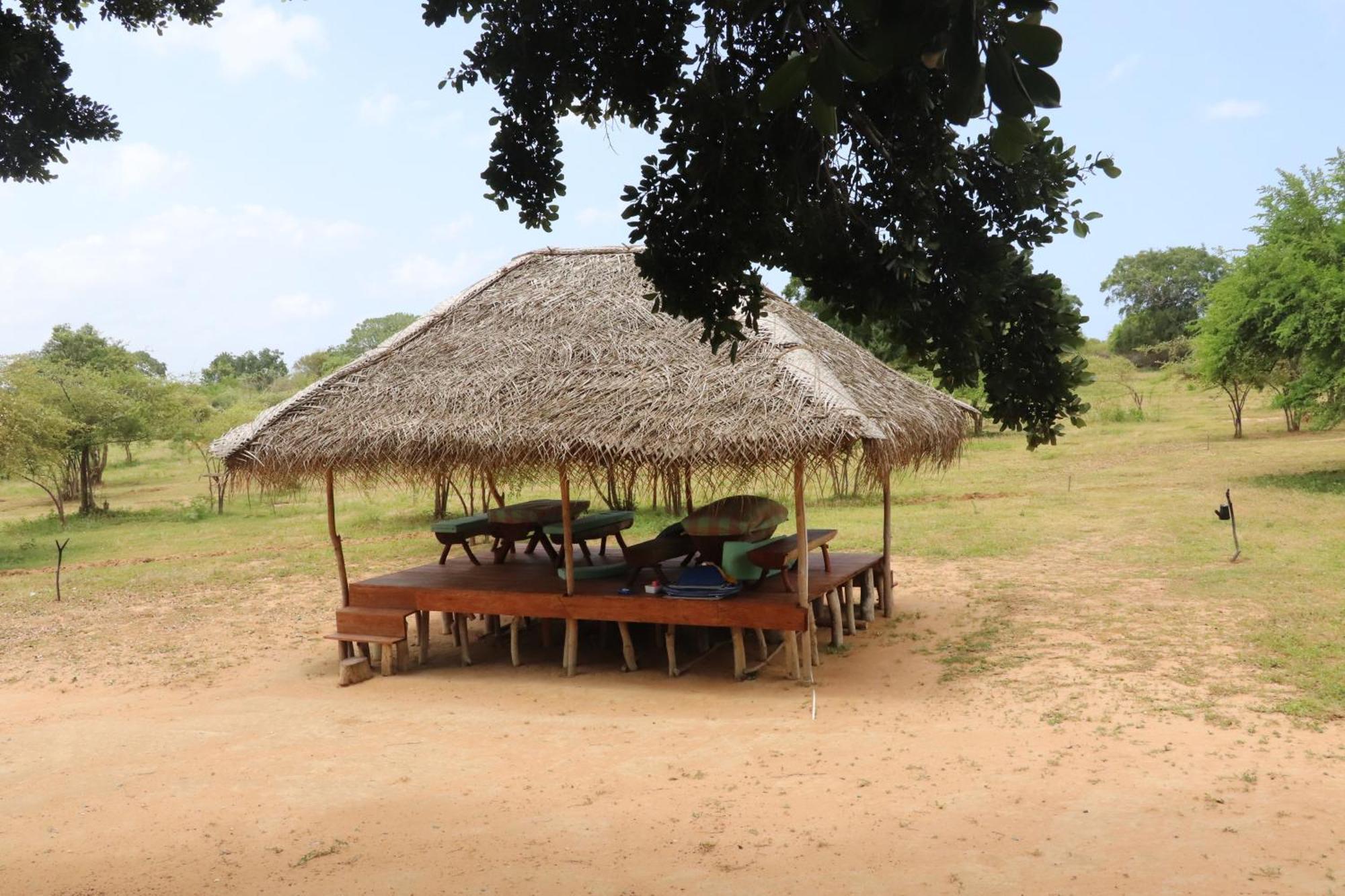 Yala Dream Park Exterior foto