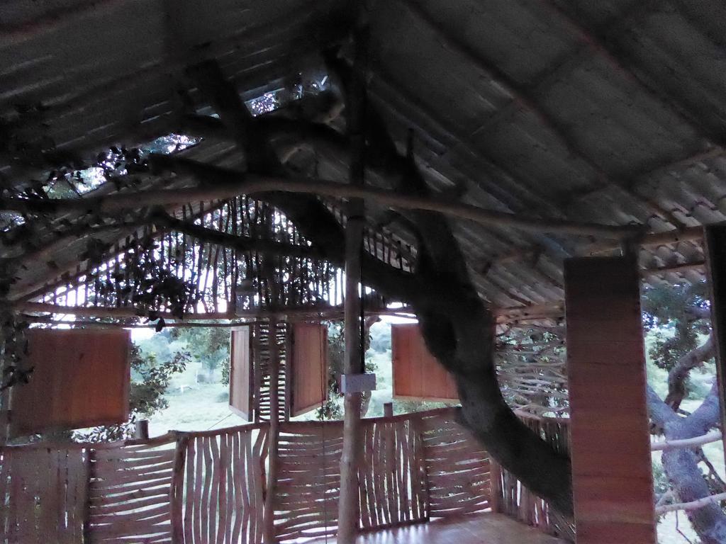 Yala Dream Park Exterior foto