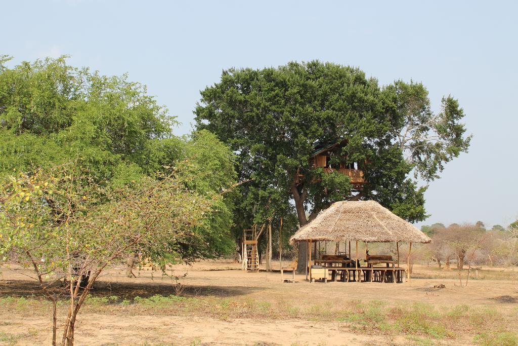 Yala Dream Park Exterior foto