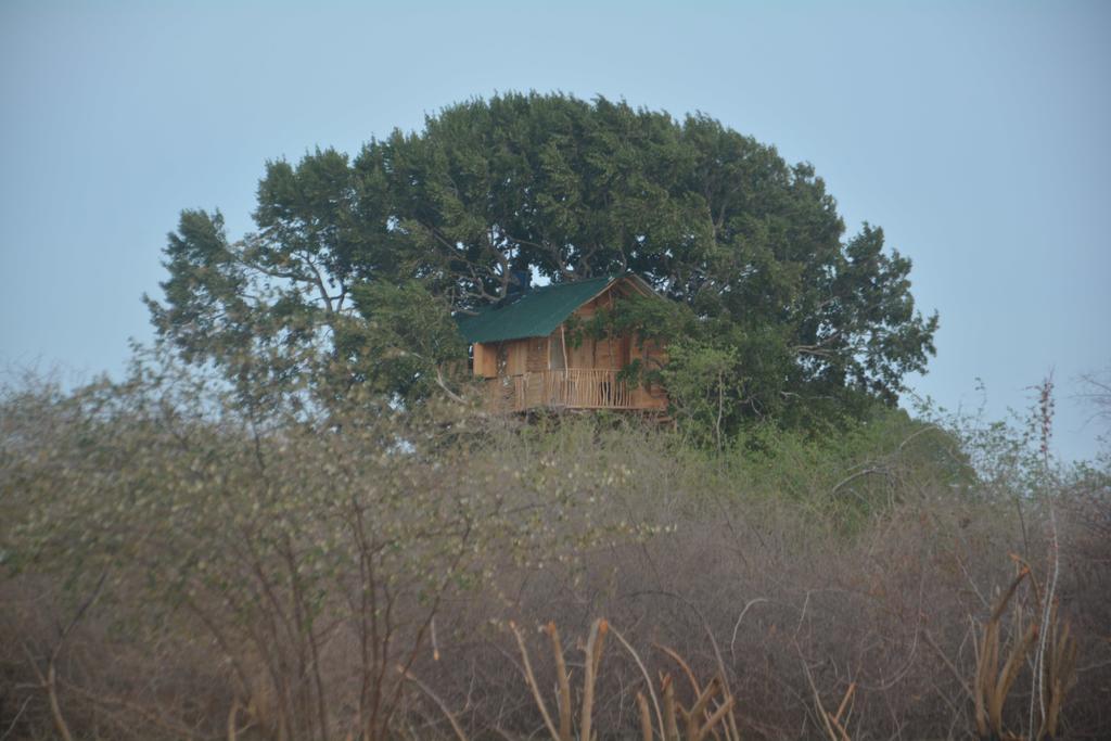 Yala Dream Park Exterior foto