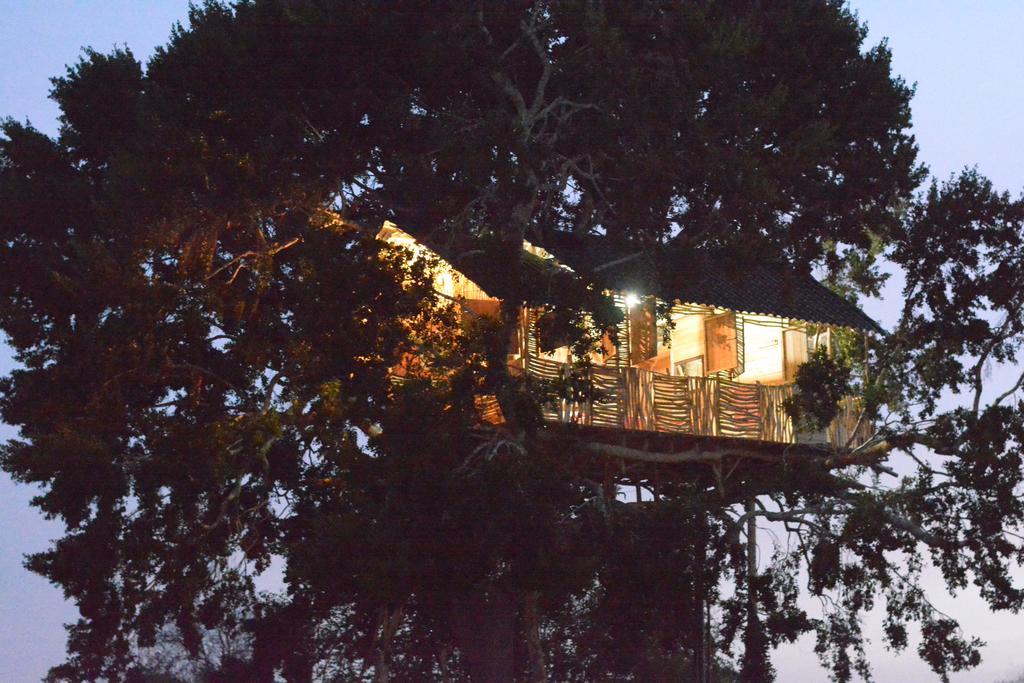 Yala Dream Park Exterior foto