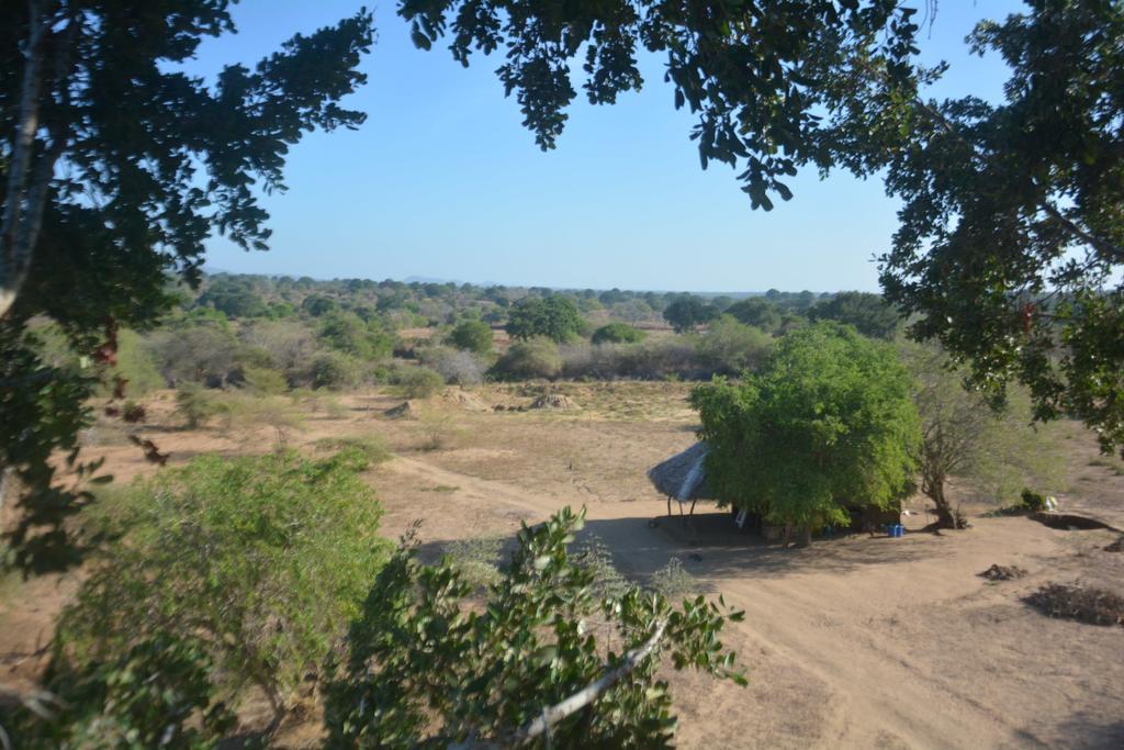Yala Dream Park Exterior foto