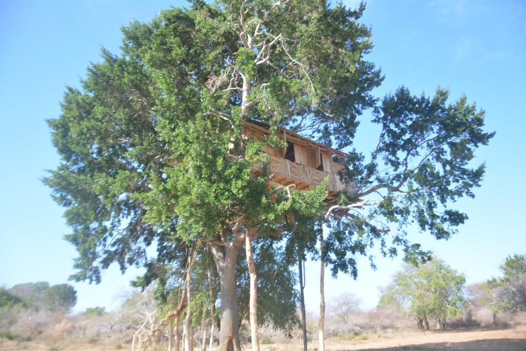 Yala Dream Park Exterior foto
