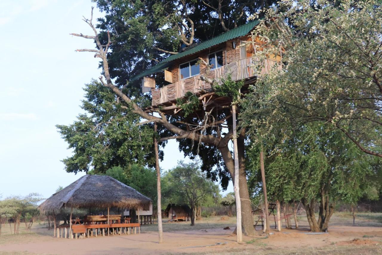 Yala Dream Park Exterior foto