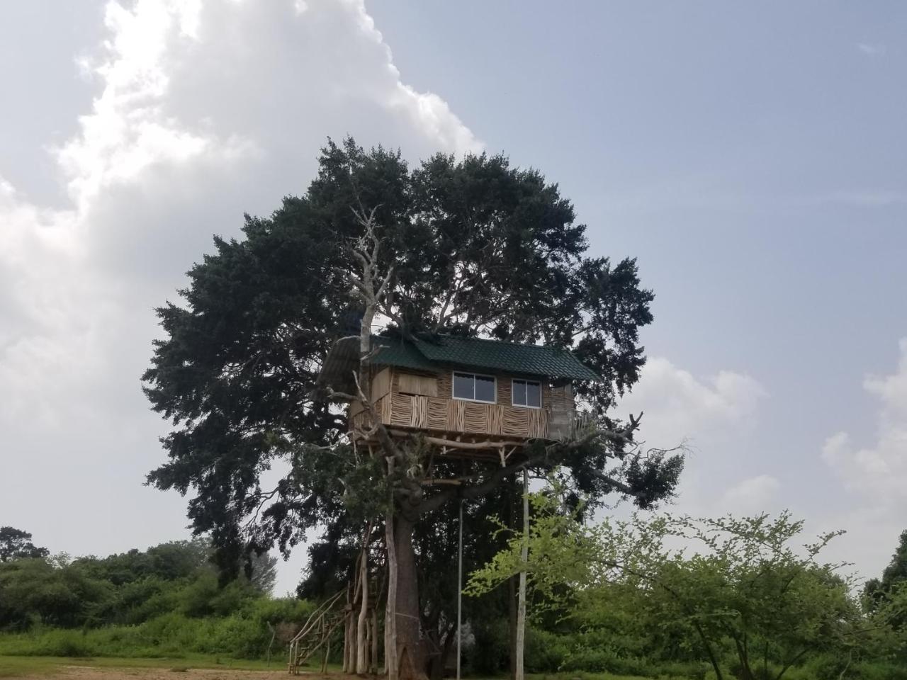 Yala Dream Park Exterior foto