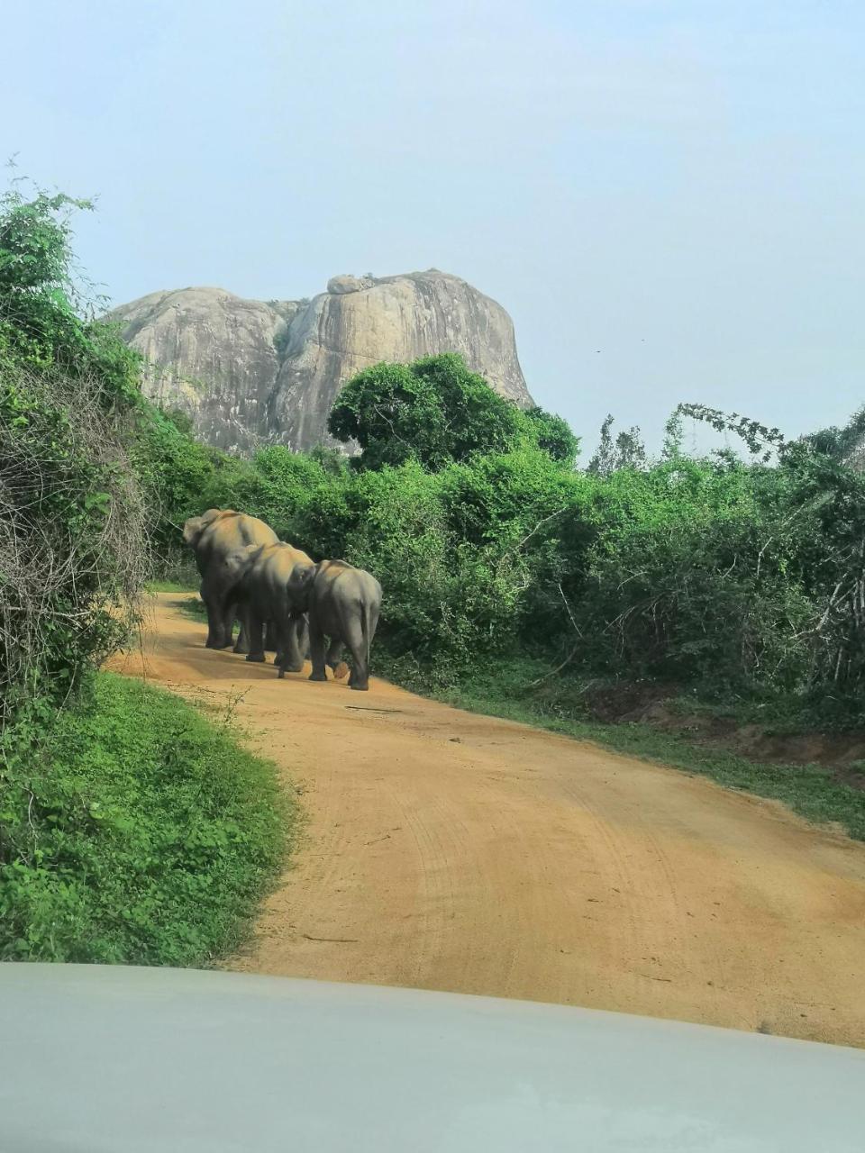 Yala Dream Park Exterior foto